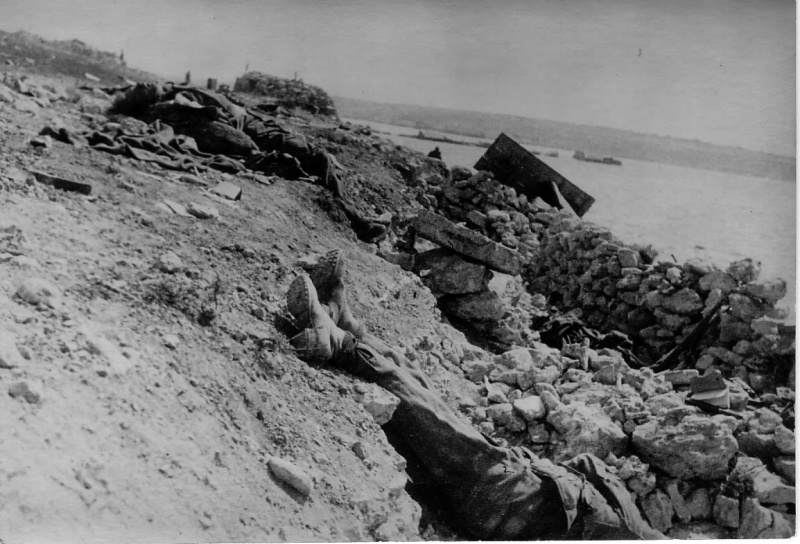 Немецкие солдаты, уничтоженные в ходе освобождения Крыма.